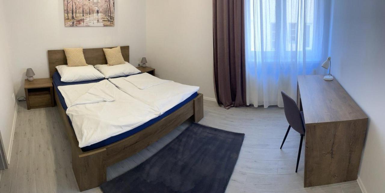 Newly Renovated 2 Rooms Apartment Downtown ニトラ エクステリア 写真