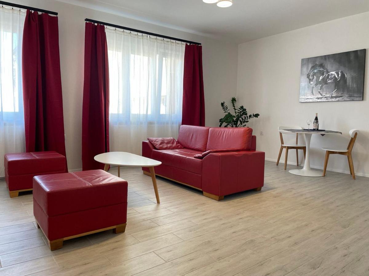 Newly Renovated 2 Rooms Apartment Downtown ニトラ エクステリア 写真