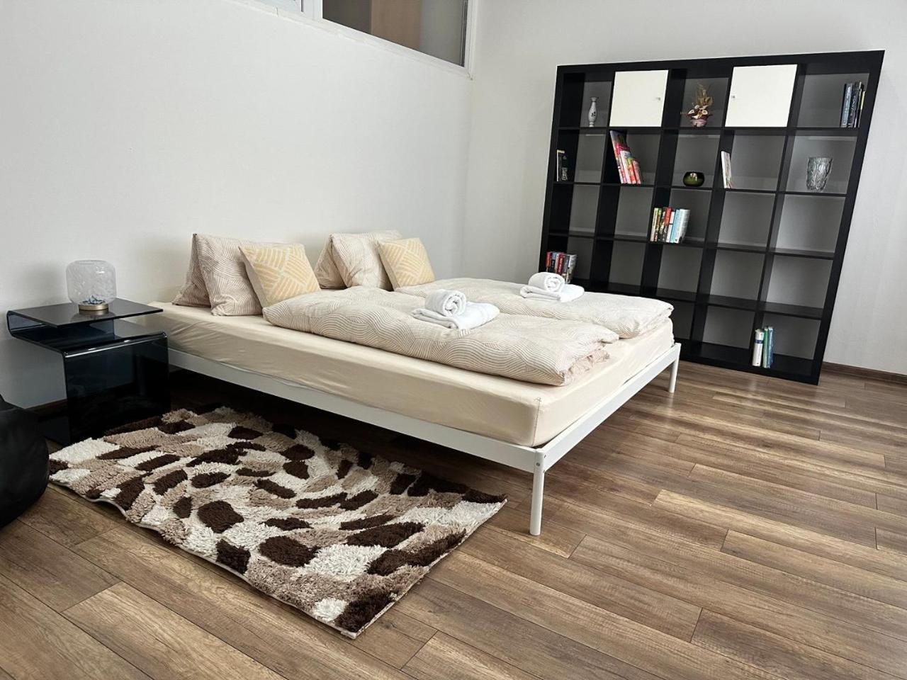 Newly Renovated 2 Rooms Apartment Downtown ニトラ エクステリア 写真